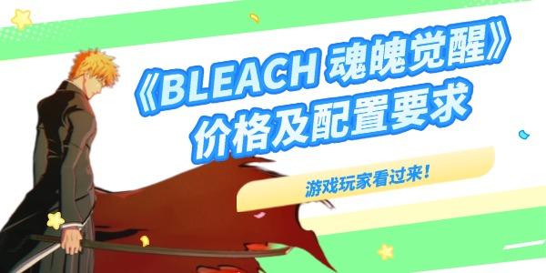 死神魂魄覺(jué)醒多少錢