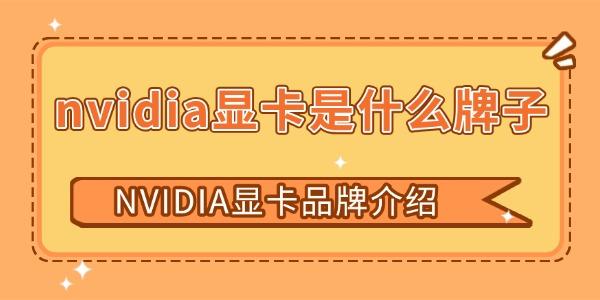 nvidia顯卡是什么牌子