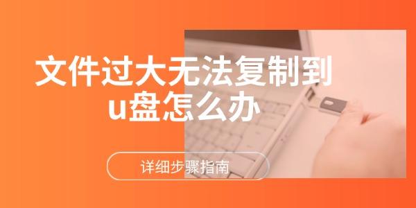 文件過大無法復(fù)制到u盤怎么辦 詳細步驟指南