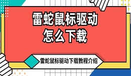 雷蛇鼠標(biāo)驅(qū)動怎么下載 雷蛇鼠標(biāo)驅(qū)動下載教程介紹